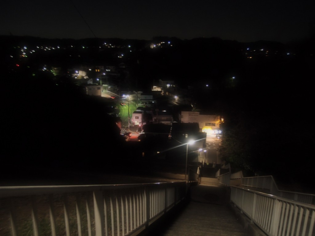鴨居の夜景